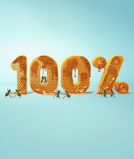 100% Fact, Bees